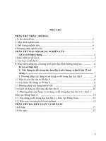 (SKKN HAY NHẤT) vận dụng phương pháp xây dựng và sử dụng sơ đồ vào giảng dạy bài 11   khu vực đông nam á ( địa lí 11) theo định hướng phát triển năng lực cho học sinh 