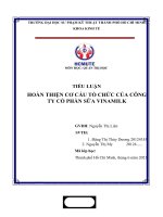 TIỂU LUẬN HOÀN THIỆN cơ cấu tổ CHỨC của CÔNG TY cổ PHẦN sữa VINAMILK 