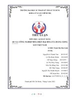 TIỂU LUẬN môn học LỊCH sử ĐẢNG đề tài CÔNG NGHIỆP hóa HIỆN đại hóa của ĐẢNG CỘNG sản VIỆT NAM 