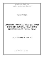 Luận văn thạc sĩ UEH giải pháp nâng cao hiệu quả hoạt động tín dụng tại ngân hàng thương mại cổ phần á châu 