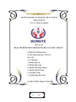 TIỂU LUẬN đề tài mô HÌNH PHÂN PHỐI HÀNG hóa của DECATHLON 