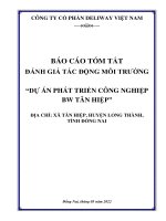 BÁO CÁO TÓM TẮT ĐÁNH GIÁ TÁC ĐỘNG MÔI TRƯỜNG “DỰ ÁN PHÁT TRIỂN CÔNG NGHIỆP BW TÂN HIỆP” ĐỊA CHỈ: XÃ TÂN HIỆP, HUYỆN LONG THÀNH, TỈNH ĐỒNG NAI
