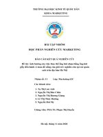 (TIỂU LUẬN) ảnh hưởng của việc thay thế ống hút nhựa bằng ống hút giấy đến hành vi mua đồ uống của giới trẻ nghiên cứu tại các quán cafe trên địa bàn hà nội 