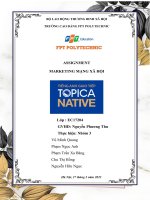 (TIỂU LUẬN) ASSIGNMENT MARKETING MẠNG xã hội topica native 