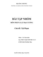 (TIỂU LUẬN) bài tập NHÓM môn PHÁP LUẬT đại CƯƠNG chủ đề tội phạm 