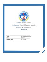 (TIỂU LUẬN) assignment financial statement analysis kinh do joint stock company (KDC) 