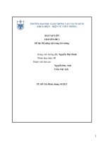 (TIỂU LUẬN) bài tập lớn CHUYÊN đề 1 đề tài hệ nâng vật trong từ trường 