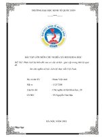 (TIỂU LUẬN) bài tập lớn môn CHỦ NGHĨA xã hội KHOA học đề tài phân tích sự biến đổi của cơ cấu xã hội giai cấp trong thời kỳ quá độ lên chủ nghĩa xã hội  liên hệ thực tiễn việt nam  