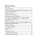 (TIỂU LUẬN) advertising is based on the customers own experience – the success of the apple brand 