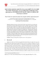 KHẢ NĂNG KHÁNG KHUẨN CỦA CAO CHIẾT TỪ CÂY DIỆP HẠ CHÂU (Phyllanthus amarus) ĐỐI VỚI VI KHUẨN Vibrio alginolyticus GÂY BỆNH XUẤT HUYẾT TRÊN CÁ HỒNG MỸ