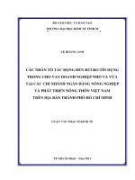 Luận văn thạc sĩ UEH các nhân tố tác động đến rủi ro tín dụng trong cho vay doanh nghiệp nhỏ và vừa tại các chi nhánh ngân hàng nông nghiệp và phát triển nông thôn việt nam trên địa bàn TP  hồ chí minh 