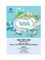 (TIỂU LUẬN) bài tập lớn QUẢN lý học 1 PHÂN TÍCH tổ CHỨC CÔNG TY cổ PHẦN sữa VIỆT NAM VINAMILK 