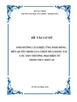 (TIỂU LUẬN) ẢNH HƯỞNG của HIỆU ỨNG đám ĐÔNG đến QUYẾT ĐỊNH lựa CHỌN MUA HÀNG tại các sàn THƯƠNG mại điện tử 