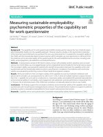 Measuring sustainable employability: Psychometric properties of the capability set for work questionnaire