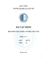 (TIỂU LUẬN) bài tập NHÓM học PHẦN đại CƯƠNG văn hóa VIỆT NAM kết quả của văn hóa việt nam giao lưu với văn hóa bên ngoà 