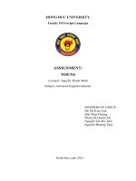 (TIỂU LUẬN) ASSIGNMENTNOUNS i decided to choose “a study on the resonance function of nouns in english 