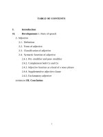 (TIỂU LUẬN) a study on synantic functions of adjectives english  as the topic for our team research with the hope that learners could know more about the use 