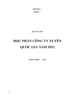 (TIỂU LUẬN) bài tập lớn học PHẦN CÔNG TY XUYÊN QUỐC GIA năm 2022 công ty TNHH nước giải khát suntory pepsico việt nam (SPVB), 