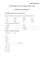 Bộ đề ôn thi học kì 1 lớp 3 môn tiếng anh năm 2022   2023   vndoc com