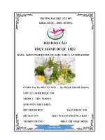 (TIỂU LUẬN) bài báo cáo THỰC HÀNH dược LIỆU bài 6  KIỂM NGHIỆM dược LIỆU CHỨA ANTHRANOID 
