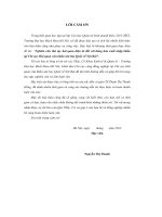 Nghiên cứu thủ tục hải quan điện tử đối với hàng hóa xuất nhập khẩu tại chi cục hải quan cửa khẩu sân bay quốc tế Nội Bài
