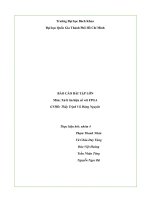 (TIỂU LUẬN) báo cáo bài tập lớn môn xử lí tín hiệu số với FPGA 