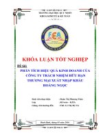 Khoá luận phân tích hiệu quả kinh doanh của công ty trách nhiệm hữu hạn thương mại xuất nhập khẩu hoàng ngọc 