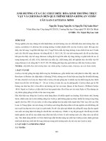 Ảnh hưởng của các chất điều hòa sinh trưởng thực vật và chitosan đến quá trình nhân giống in vitro cây lan Cattleya mini
