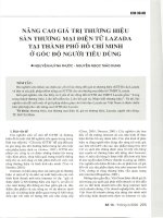 Nâng cao giá trị thương hiệu sàn thương mại điện tử lazada tại thành phố hồ chí minh ở góc độ người tiêu dùn 