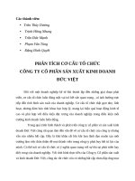 Tiểu luận - khoa học quản lý - đề tài - PHÂN TÍCH CƠ CẤU TỔ CHỨC  CÔNG TY CỔ PHẦN SẢN XUẤT KINH DOANH  ĐỨC VIỆT