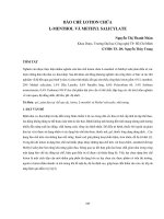 Bào chế lotion chứa L-menthol và Methyl salicylate