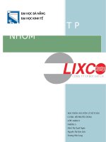 (TIỂU LUẬN) báo cáo bài tá p NHÓM  công ty cổ phần bột giặt LIX 