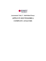(TIỂU LUẬN) assessment task 3   individual essay APPLE IN SOUTH KOREA COMPANY ANALYSIS 