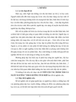 Sáng kiến kinh nghiệm, SKKN TIẾP CẬN TÁC PHẨM “BÀI CA NGẤT NGƯỞNG” THEO HƯỚNG TÍCH HỢP