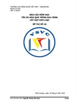 BÁO cáo môn học tối ưu hóa QUÁ TRÌNH GIA tối ưu hóa QUÁ TRÌNH GIA CÔNG cắt gọt KIM LOẠI đề tài số 18 