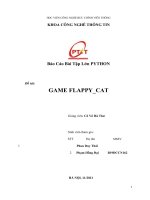 (TIỂU LUẬN) báo cáo bài tập lớn PYTHON đề tài GAME FLAPPY CAT 