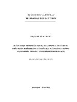 Hoàn thiện kiểm soát nội bộ hoạt động cấp tín dụng phân khúc khách hàng cá nhân tại ngân hàng thương mại cổ phần sài gòn – chi nhánh tỉnh bình định 