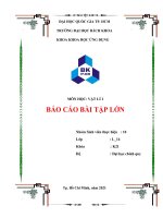(TIỂU LUẬN) báo cáo bài tập lớn vẽ QUỸ đạo CHUYỂN ĐỘNG ném XIÊN TRONG TRỌNG TRƯỜNG bỏ QUA lực cản và xác ĐỊNH một vài THÔNG số LIÊN QUAN 