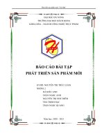 (TIỂU LUẬN) báo cáo bài tập PHÁT TRIỂN sản PHẨM mới phát triển sản phẩm mới trà mận 