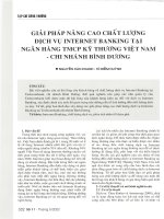 Giải pháp nâng cao chất lượng dịch vụ internet banking tại ngân hàng TMCP kỹ thương việt nam   chi nhánh bình dương2 