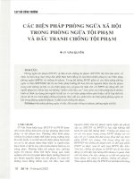 Các biện pháp phòng ngừa xã hội trong phòng ngừa tội phạm và đấu tranh chống tội phạm 