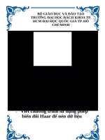 (TIỂU LUẬN) báo cáo bài tập lớn đại số TUYẾN TÍNH giới thiệu phép biến đổi haar viết chương trình sử dụng phép biến đổi haar để nén dữ liệu 