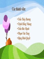 Tiểu luận - khoa học quản lý - đề tài - PHÂN TÍCH CƠ CẤU TỔ CHỨC  CÔNG TY CỔ PHẦN SẢN XUẤT KINH DOANH  ĐỨC VIỆT