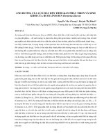 Ảnh hưởng của cơ chất đến thời gian phát triển và sinh khối của ruồi lính đen Hermetia illucens
