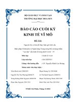 Nguyên tắc cơ bản để thực hiện gói kích cầu biện pháp chính phủ và ngân hàng trung ương mỹ sử dụng nhằm vực dậy nền kinh tế trong dịch covid – 19 