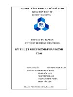 (TIỂU LUẬN) báo cáo bài tập lớn kỹ THUẬT hệ THỐNG VIỄN THÔNG kỹ THUẬT GHÉP KÊNHPHÂN KÊNH TDM 