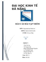 (TIỂU LUẬN) báo cáo bài tập NHÓM môn organizational behavior PHÂN TÍCH văn hóa tổ CHỨC VINAMILK 