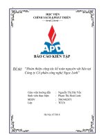 Báo cáo thực tập tốt nghiệp hoàn thiện công tác kế toán nguyên vật liệu tại công ty cổ phần công nghệ ngọc linh 