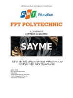 (TIỂU LUẬN) ASSIGNMENT CONTENT MARKETING xây d NG kếế HO CH CONTENT MARKETING CHO ự ạ TH NG HI u TH i TRANG SAYME 