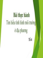 (TIỂU LUẬN) bài thực hành tìm hiểu tình hình môi trường ở địa phương 